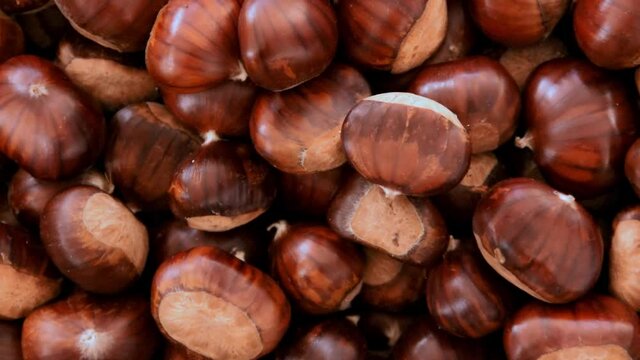 Raw chestnuts, healthy eating concept, gluten free food ingredients