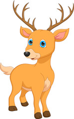 Fototapeta premium cartoon cute deer on white background