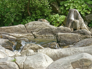 Bieszczady Mountains, Poland, the wildest region in the Poland, Polish Mountains and landscapes, wandering around Poland