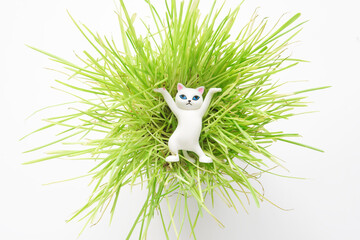 Funny white toy cat relaxes in a thicket of green grass - sprouted oats. White background. The...