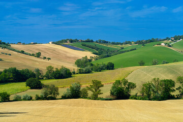 Rural landscape near Ostra Vetere and Cingoli, Marche, Italy
