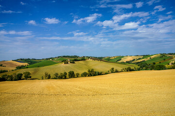 Rural landscape near Ostra Vetere and Cingoli, Marche, Italy