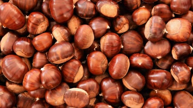 Raw chestnuts, healthy eating concept, gluten free food ingredients