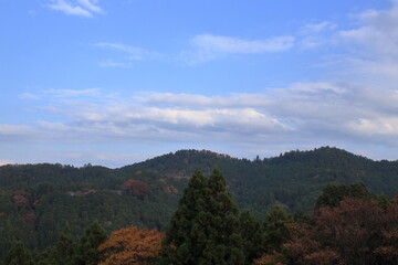 Fototapeta na wymiar 奈良　吉野の紅葉