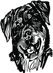 The vector illustration The rottweiler dog 