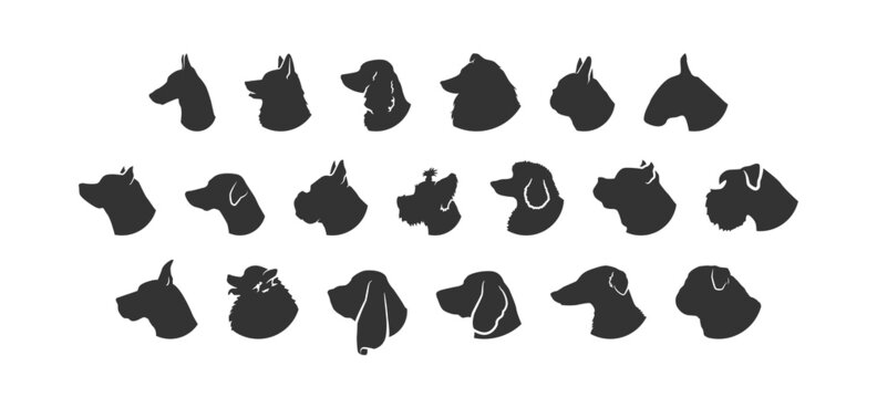 Dog head silhouette. Breeds pet set isolated black icon. Animal collection. Vector flat illustration on white background