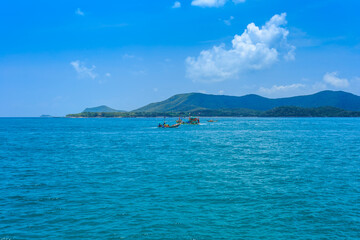 Green tree on island in middle of the deep blue sea ocean 
