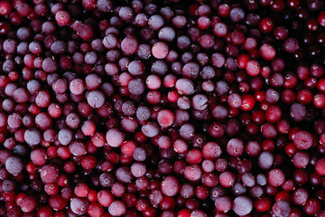 Background with frozen frosty red cranberries 