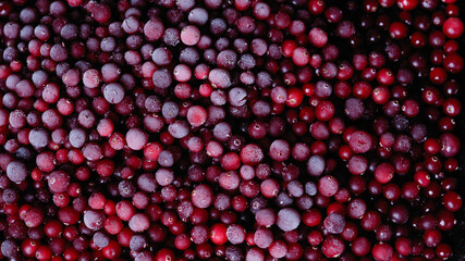  Background with frozen frosty red cranberries 16*9 close-up