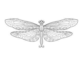 Dragonfly coloring page. Black and white line art. Coloring book for adults.