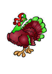 turkey illustration