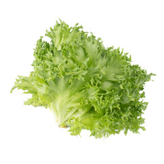 Red Leaf Lettuce (Lactuca sativa L. ) isolated on white background.Food ingredients in salads or Healthy food concept for weight loss Grown in hydroponics systems.