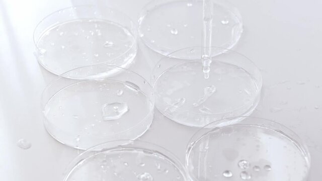 Transparent liquid gel or hyaluronic serum acid, peptides in petri medical dish with dose of fluid in pipette. Hydrating, moisturize and skin care, cosmetic concept. Anti aging beauty product. Antibac