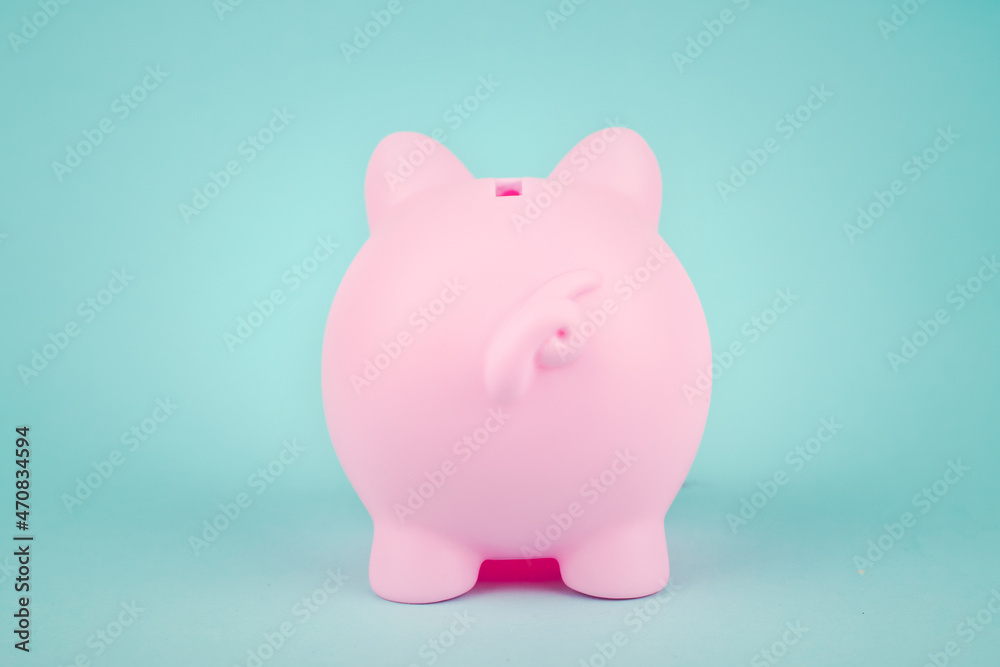 Wall mural finance, banking, saving money account. rear views of piggy bank on white background. pink piggybank