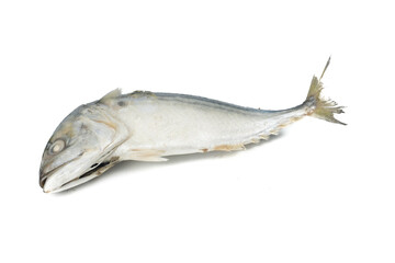 Steamed mackerel isolated on white background