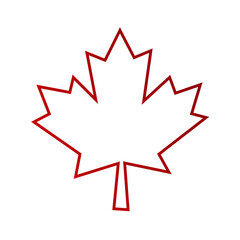 Canadian red maple leaf