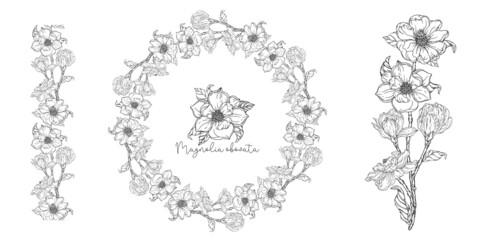 Obraz premium Black and white. White magnolia. Vector illustration. Botanical illustration. Flower Wreath