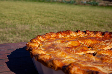 
elaboration of the typical apple pie