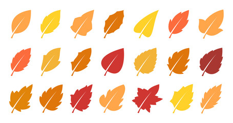 Autumn leaves set