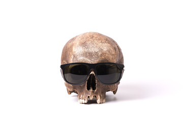 Skull with sunglass isolated on white background