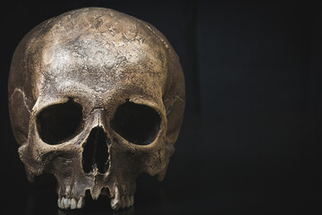 Human skull on a black background.