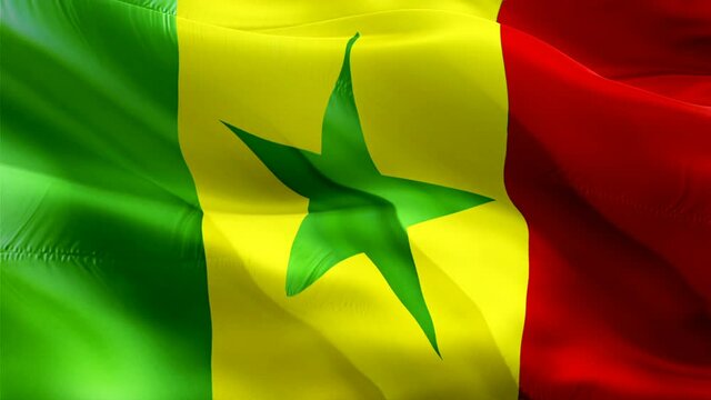 Senegalese flag. 3d Senegal flag waving video. Sign of Senegal seamless loop animation. Senegalese flag HD resolution Background. Senegal flag Closeup 1080p HD video for Independence Day,Victory day
