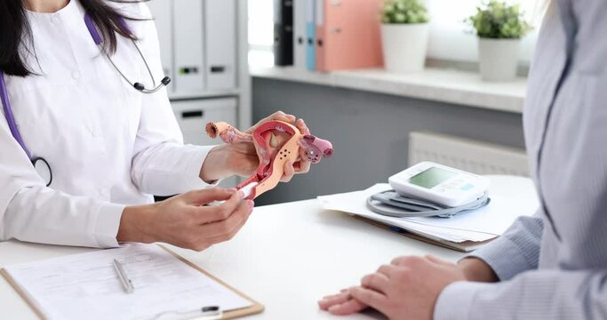 Doctor showing to patient how to insert hygienic tampon into vagina on mock uterus 4k movie slow motion