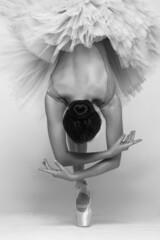 Ballerina