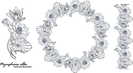 Floral vector wreath with lily flowers. Floral