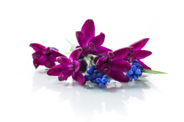Naklejka premium beautiful bouquet of spring flowers on white background