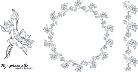 Floral vector wreath with lily flowers. Floral