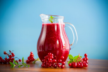freshly squeezed thick natural juice with pulp from ripe red viburnum in a decanter