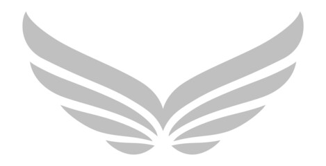 Elegant winged logo. Silver bird wings emblem