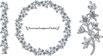 Graphic vector floral wreath with archidia flowers. Black and white drawing