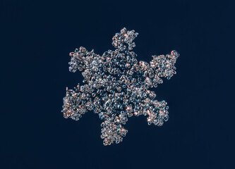 Real snowflake at high magnification. Macro photo of small snow bubbly crystal, snowflake glowing on dark blue background