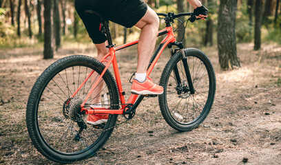 Fototapeta na wymiar Bicycle with man riding through pine forest