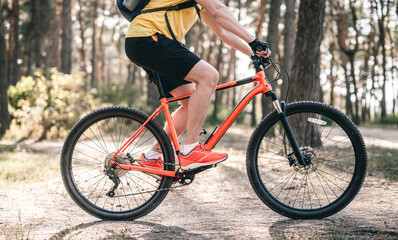 Man riding bicycle along path through sunny forest