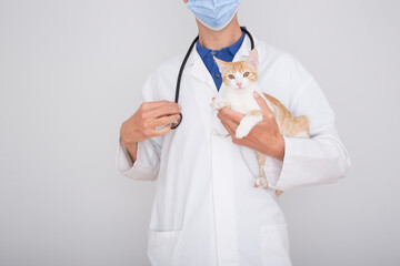 caucasian male veterinarian with a stethoscope holding a cat