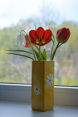 Red tulips and white fritillaries in a yellow vase on a window sill