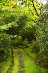 ジョブズの愛した苔寺