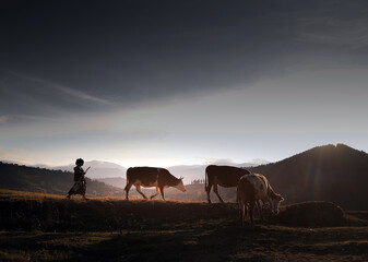 woman returning home with her animals at sunset