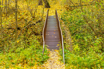Old metal bridge over a ravine in the autumn forest. Tranquil forest landscape with yellow foliage.