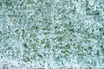 Background with grass covered with the first snow. Green shoots on the lawn making their way through the white snow. View from above.