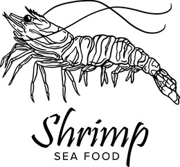 Shrimp prawn icons set. Boiled Shrimp drawing on a white background. Collection shrimp, shrimps without shell, shrimp meat, sushi. Realistic vector illustration for banner, promo