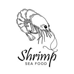 Fototapeta premium Shrimp prawn icons set. Boiled Shrimp drawing on a white background. Collection shrimp, shrimps without shell, shrimp meat, sushi. Realistic vector illustration for banner, promo