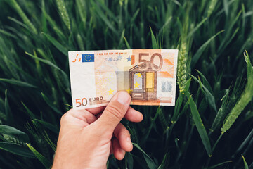 Wheat cultivation profit concept, farmer holding euro banknotes in cultivated field