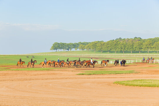 Horses Riders Countryside Morning Training Landscape
