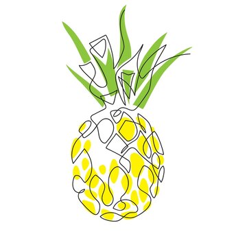 Vector image of pineapple. One line drawing. Tropical fruit.