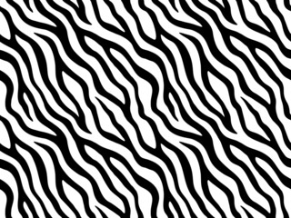 Fototapeta na wymiar Zebra stripes seamless pattern. Tiger stripes skin print design. Wild animal hide artwork background. Black and white vector illustration