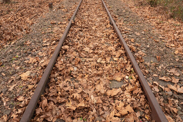 Naklejka premium 晩秋の廃線跡 信越線 碓氷峠 11月